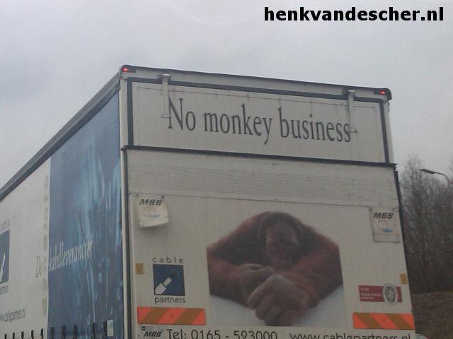 Cablepartners :: No Monkey Business