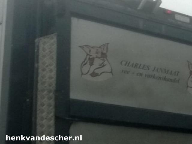 JanMaat :: Blije varkens