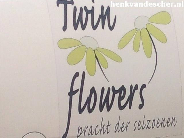 Twin Flowers :: Twin flowers, pracht der seizoenen